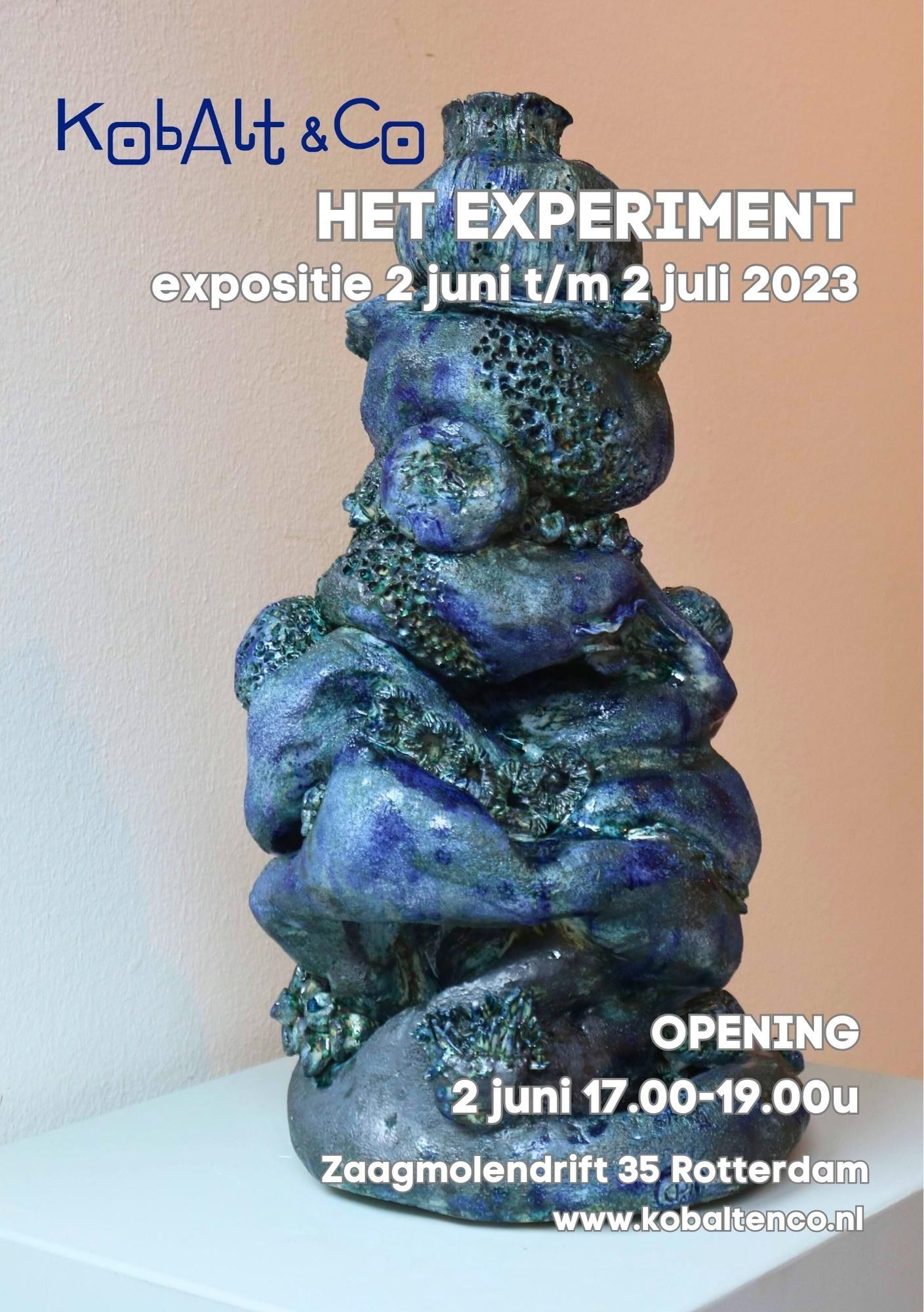 Het experiment