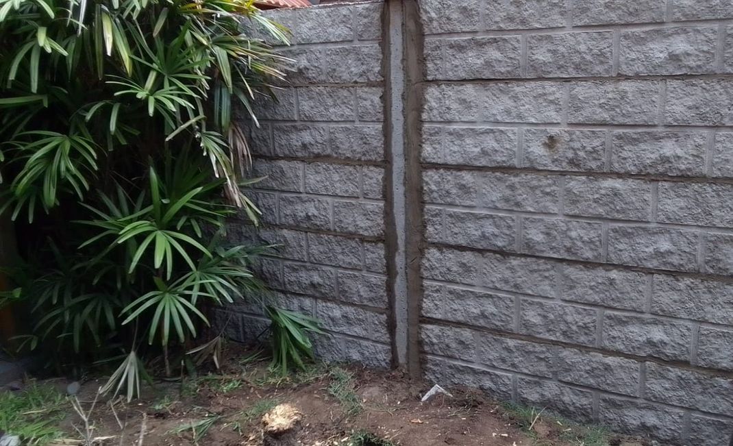 Una pared de ladrillos con un árbol al fondo.