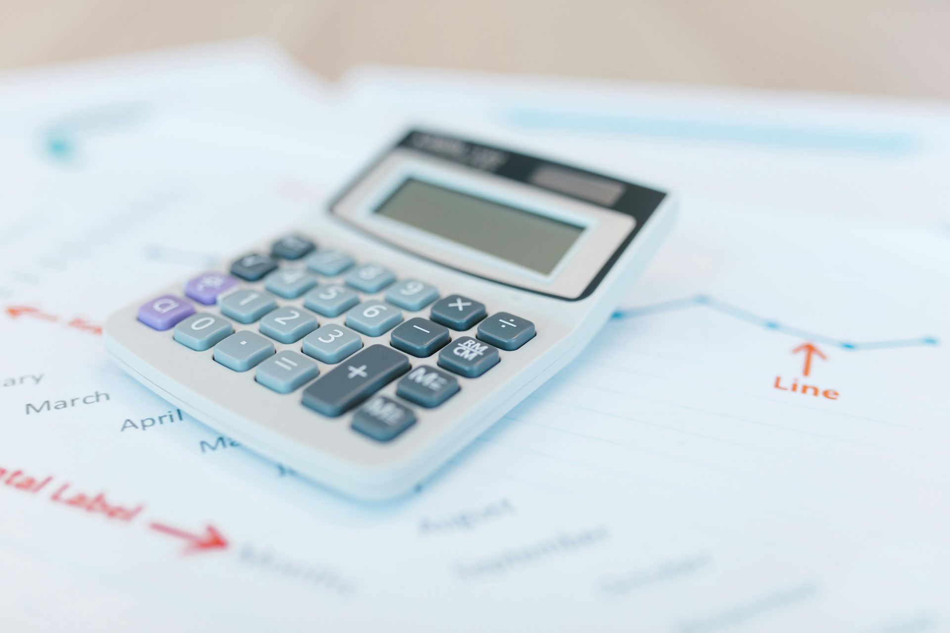 Audit Cost Audit Cost
