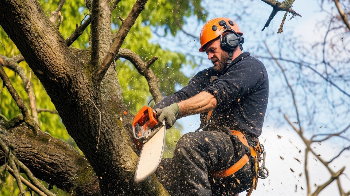 Arborist cutting tree branches with chainsaw, wearing safety gear in sunny outdoor setting.