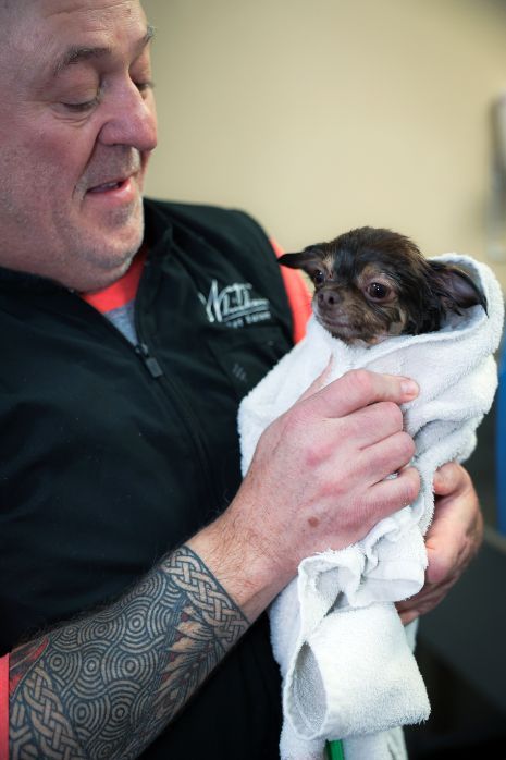 A man is holding a small dog wrapped in a towel.
