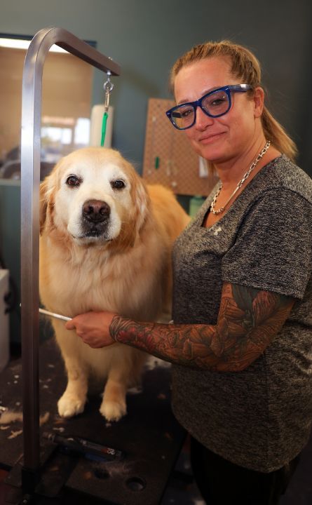 A woman is grooming a dog on a table.