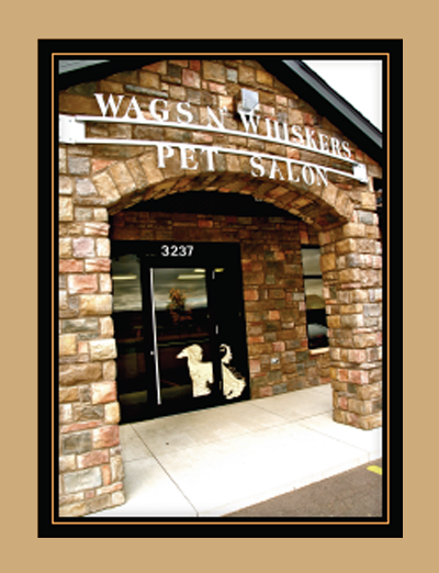 A picture of wags n whiskers pet salon