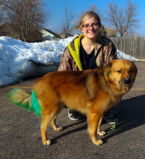 A woman kneeling next to a brown dog with a green tail