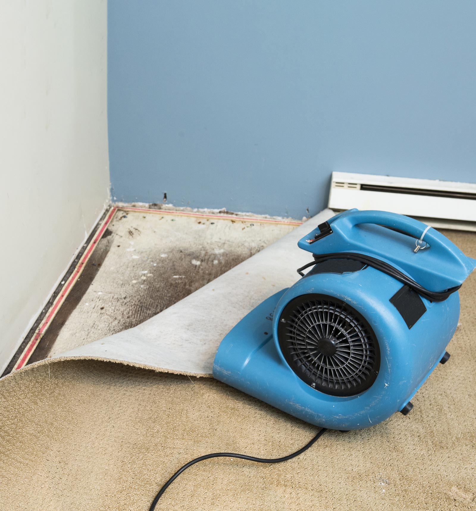 Wall And Floor Water Damage — Corinth, MS — A-1 Carpet Cleaners
