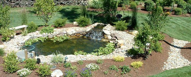 Pond with waterfall on green landscape