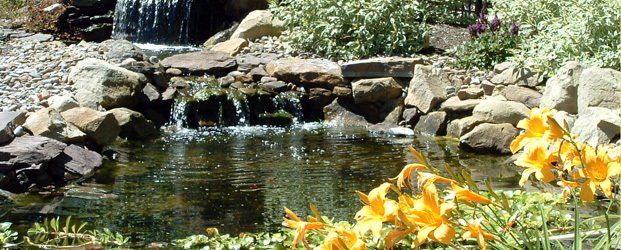 Pond with waterfall surrounding by large stones