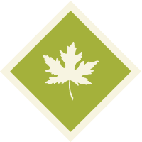 Diamond icon with maple leaf