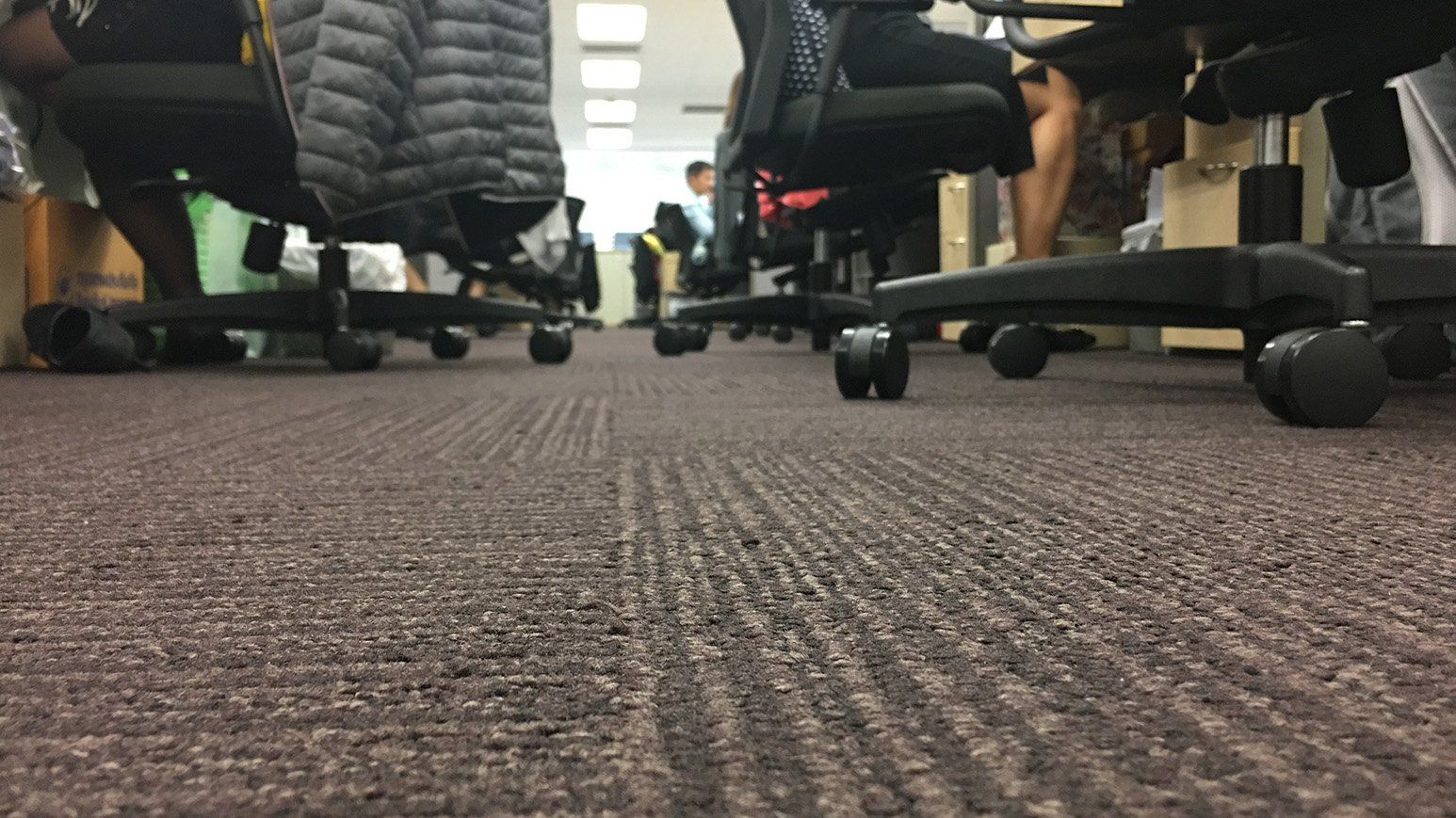 CARPETS