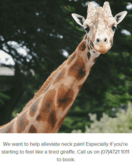 Giraffe  — Chiropractic in Townsville, QLD