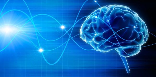A medical illustration of a brain and brain stem with wires coming out of it.