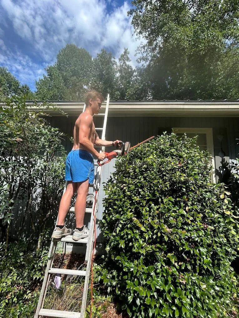 Man trimming bush with hedge trimmer while standing on a ladder near a house.