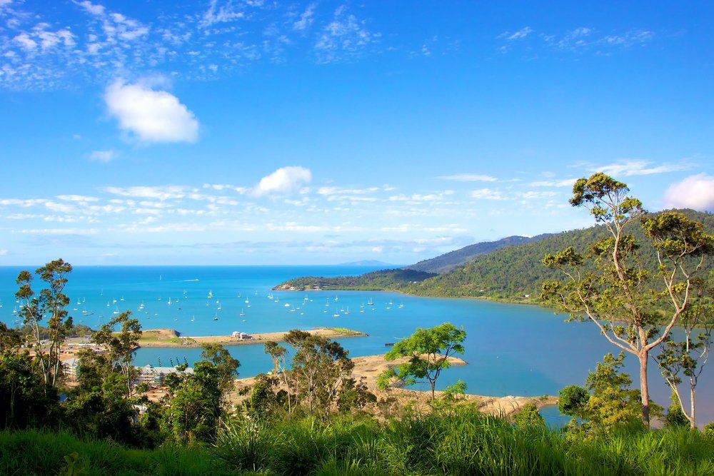 Beach Landscape View Overlooking Marina — Whitsunday Drainage Contractors in Airlie Beach, QLD