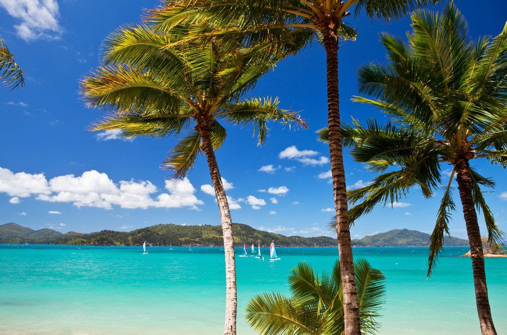 Hamilton Island in the Whitsunday Islands — Whitsunday Drainage Contractors in Airlie Beach, QLD