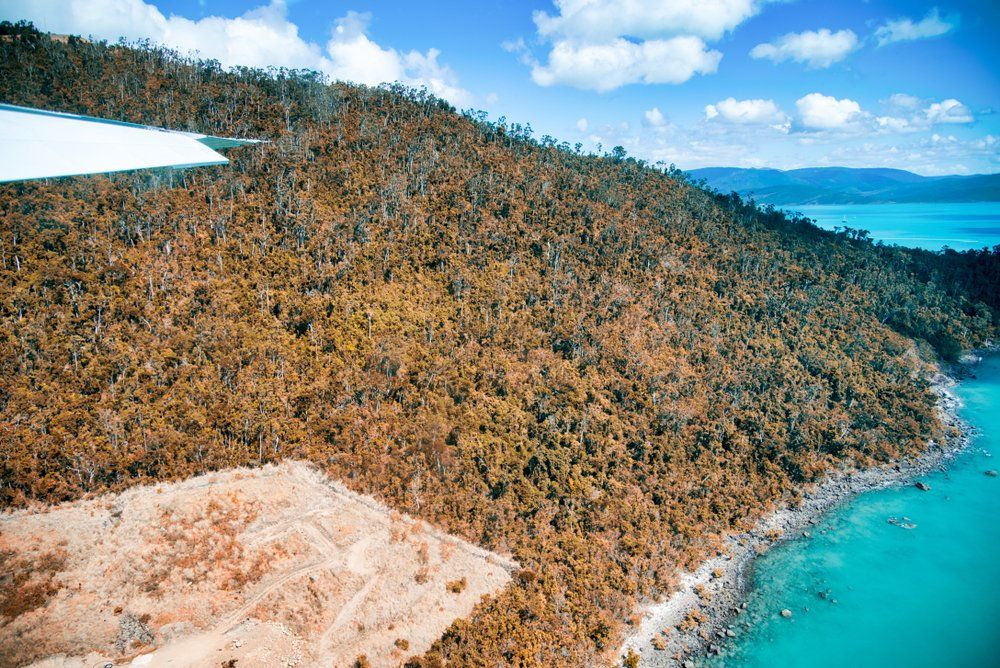 Aerial View of Airlie Beach Cannonvale Coastline, Australia — Whitsunday Drainage Contractors in Airlie Beach, QLD