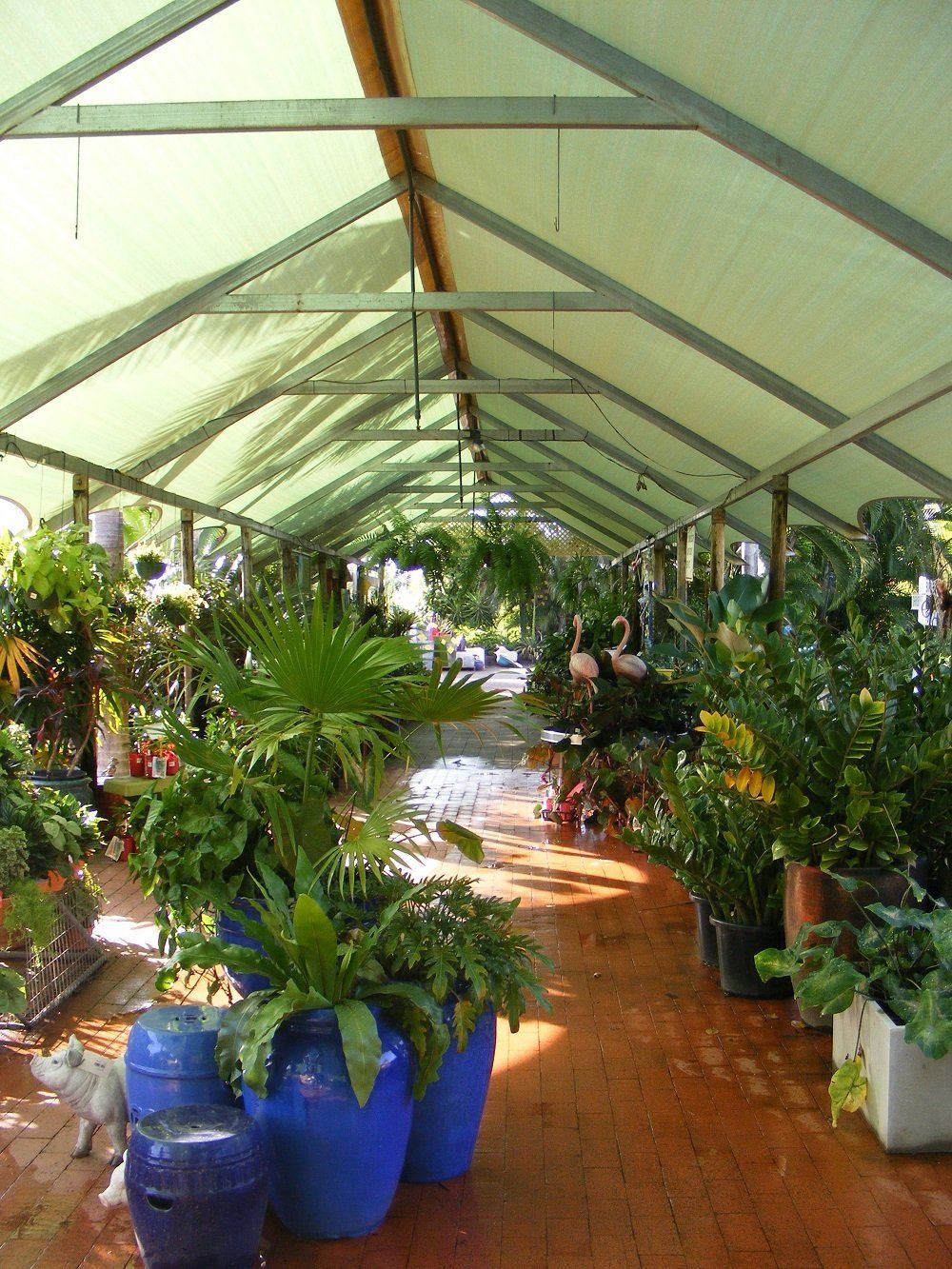 Multi Award Winning Garden Centre, Darwin NT