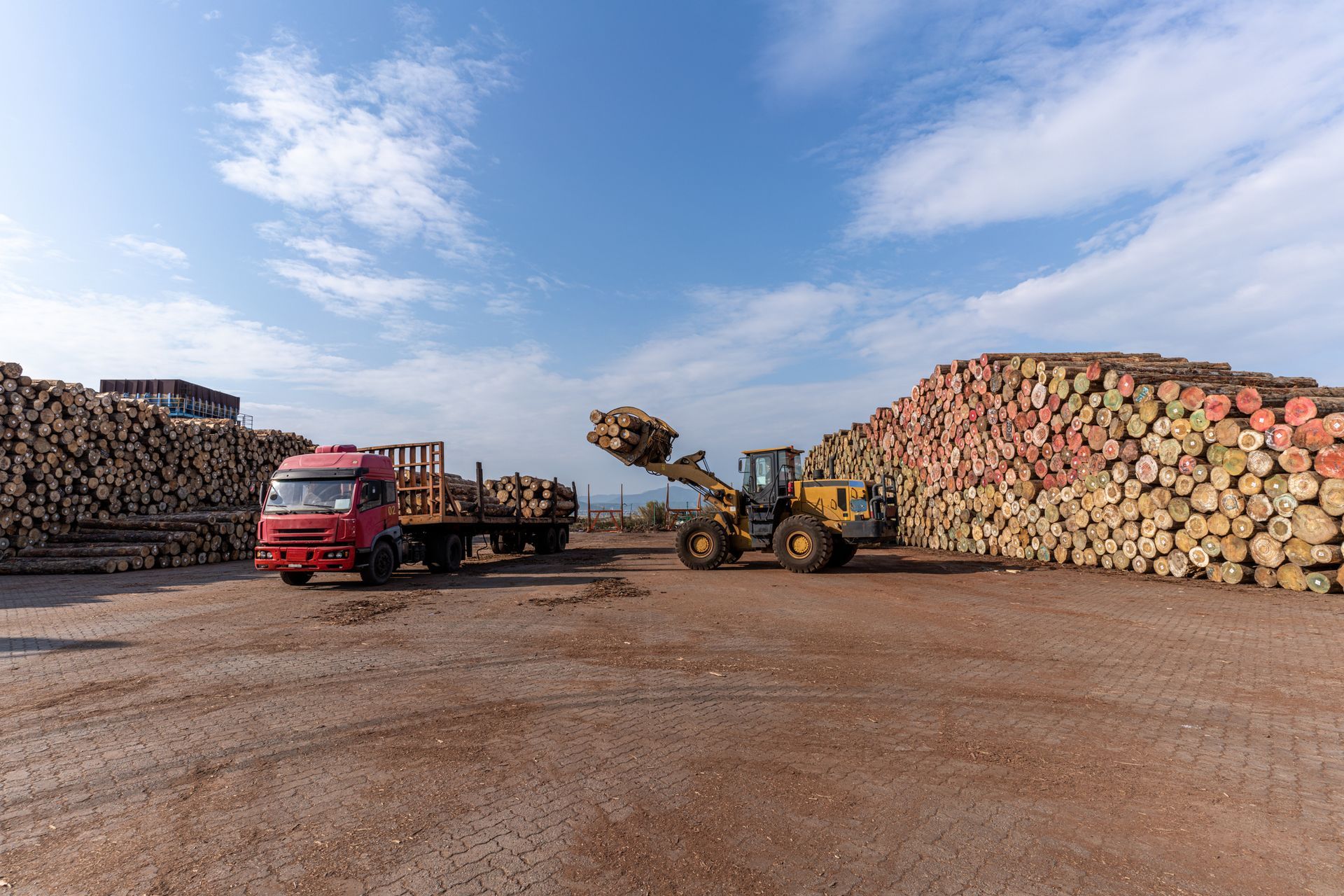 Loader lifting logs onto truck in lumber yard with stacked logs.