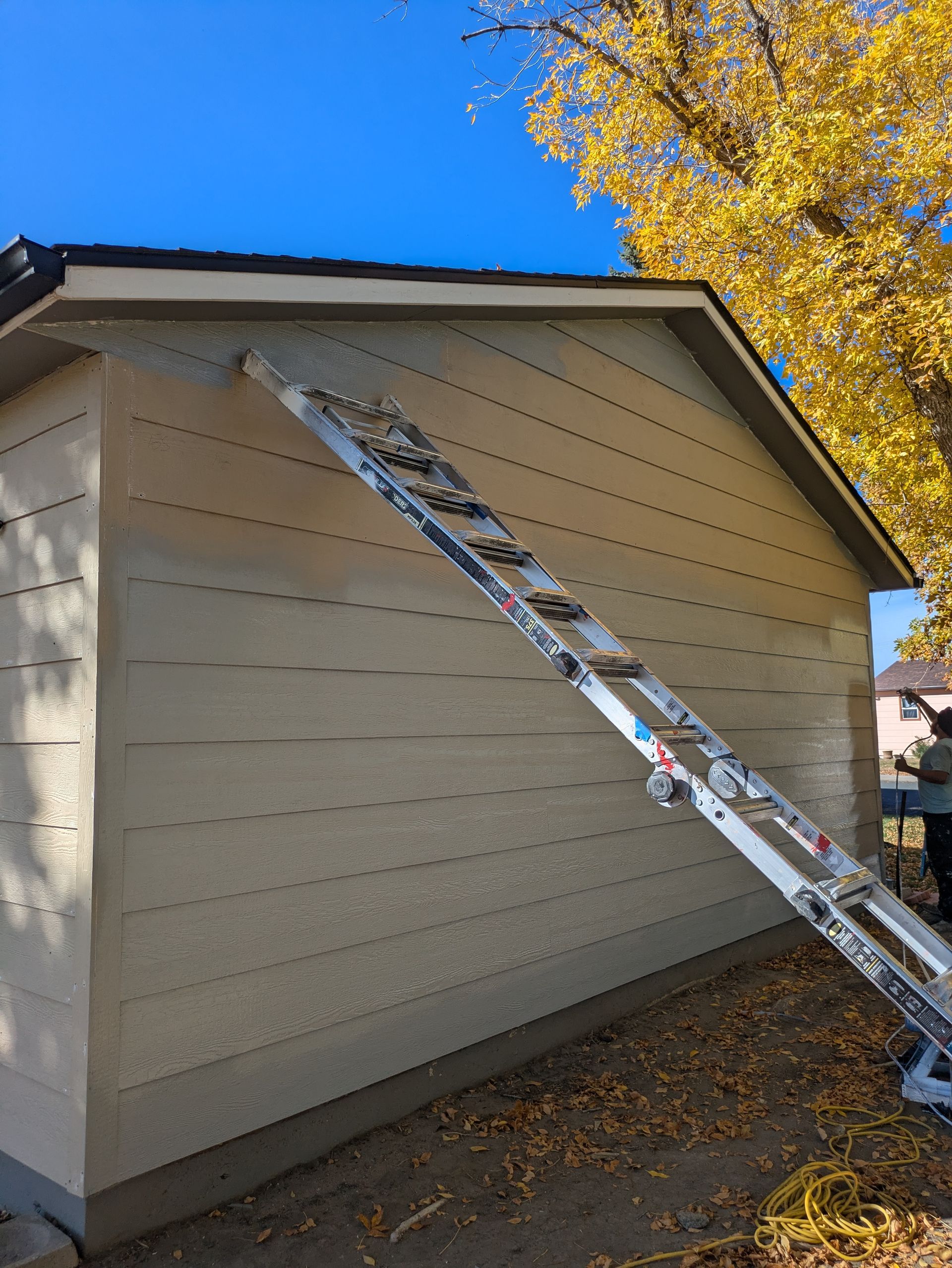 A ladder is leaning against the side of a building