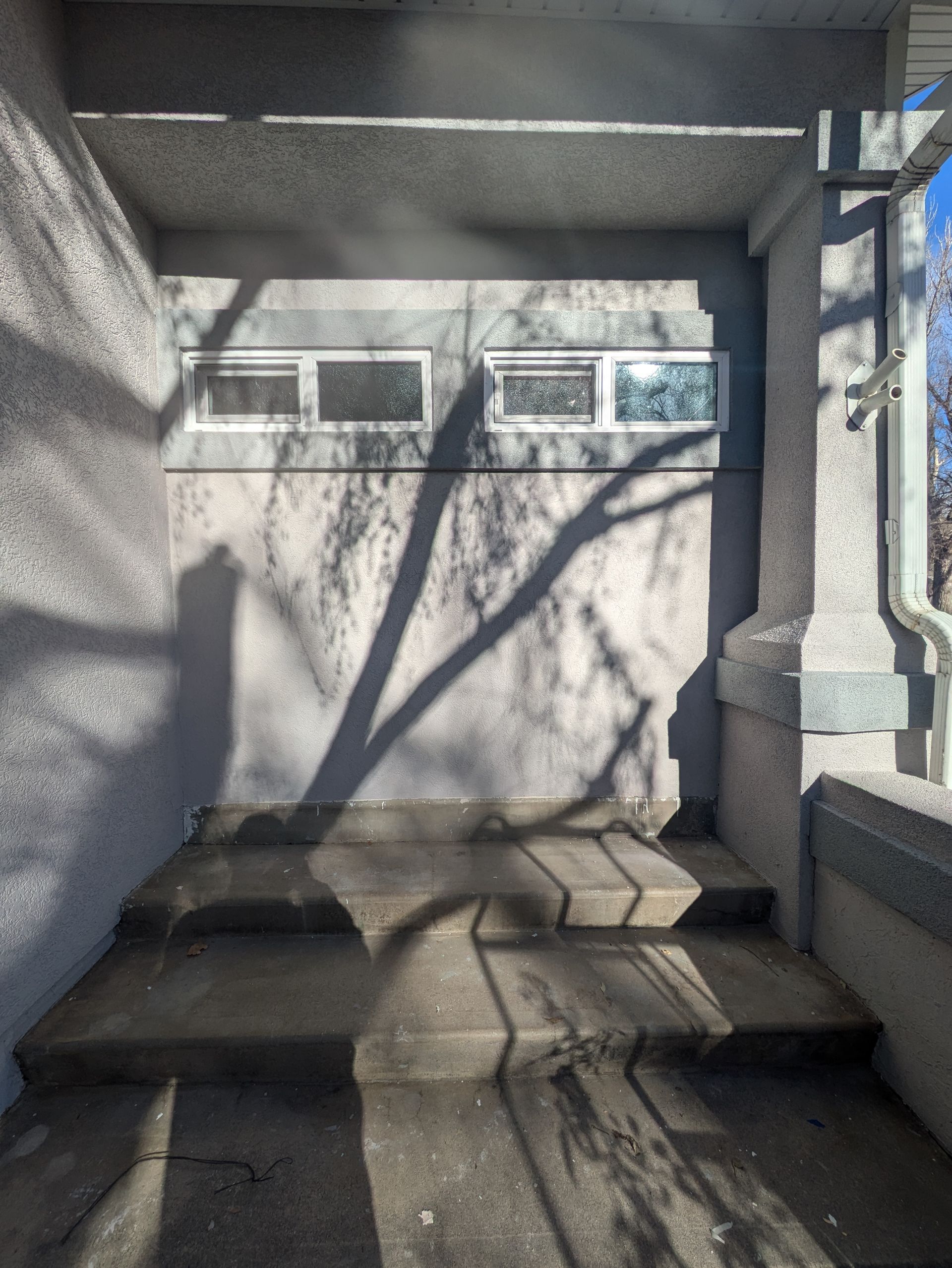 The shadow of a tree is cast on the wall of a building.