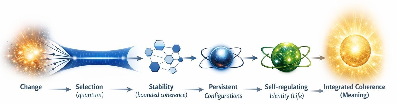 Diagram van het Bellori Framework dat identiteit toont als behouden samenhang onder verandering over stabiliteit, leven en betekenis