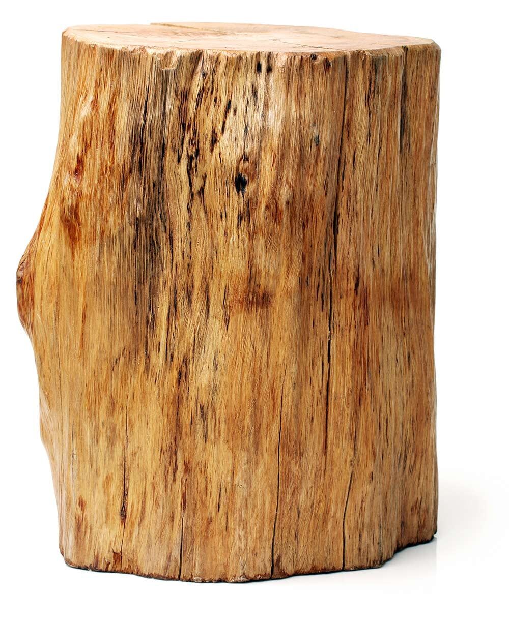 Log - Tree Removals in Jensen QLD