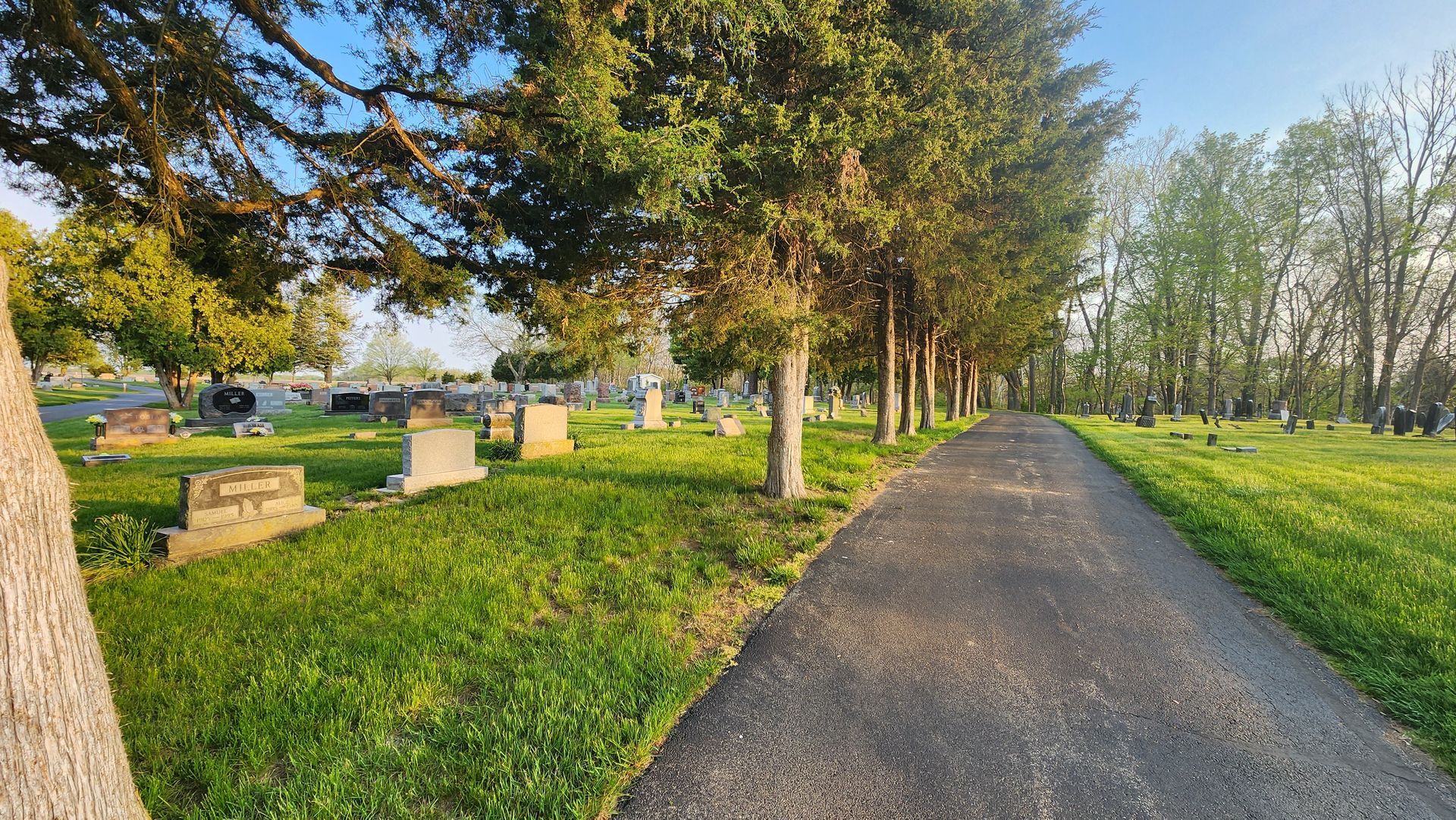 A graveyard with a path going through it and trees on both sides.