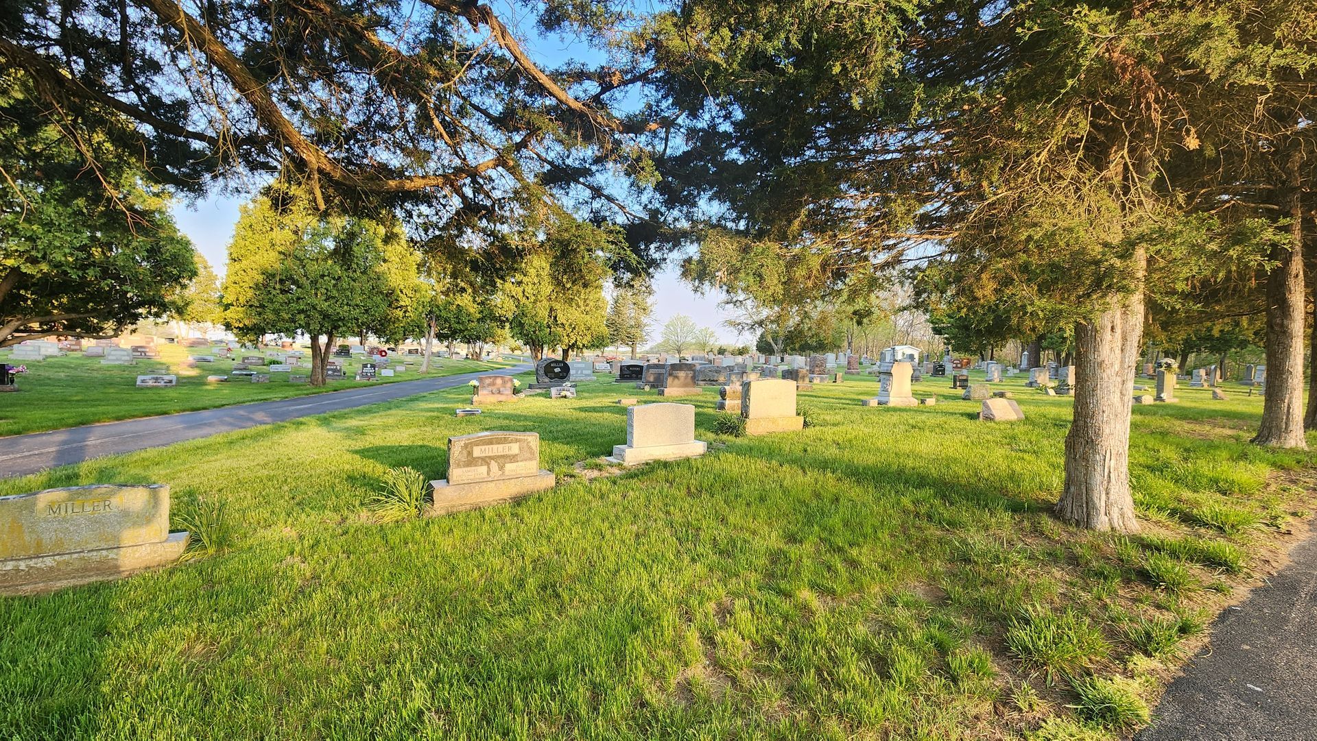 A cemetery filled with graves and trees on a sunny day.