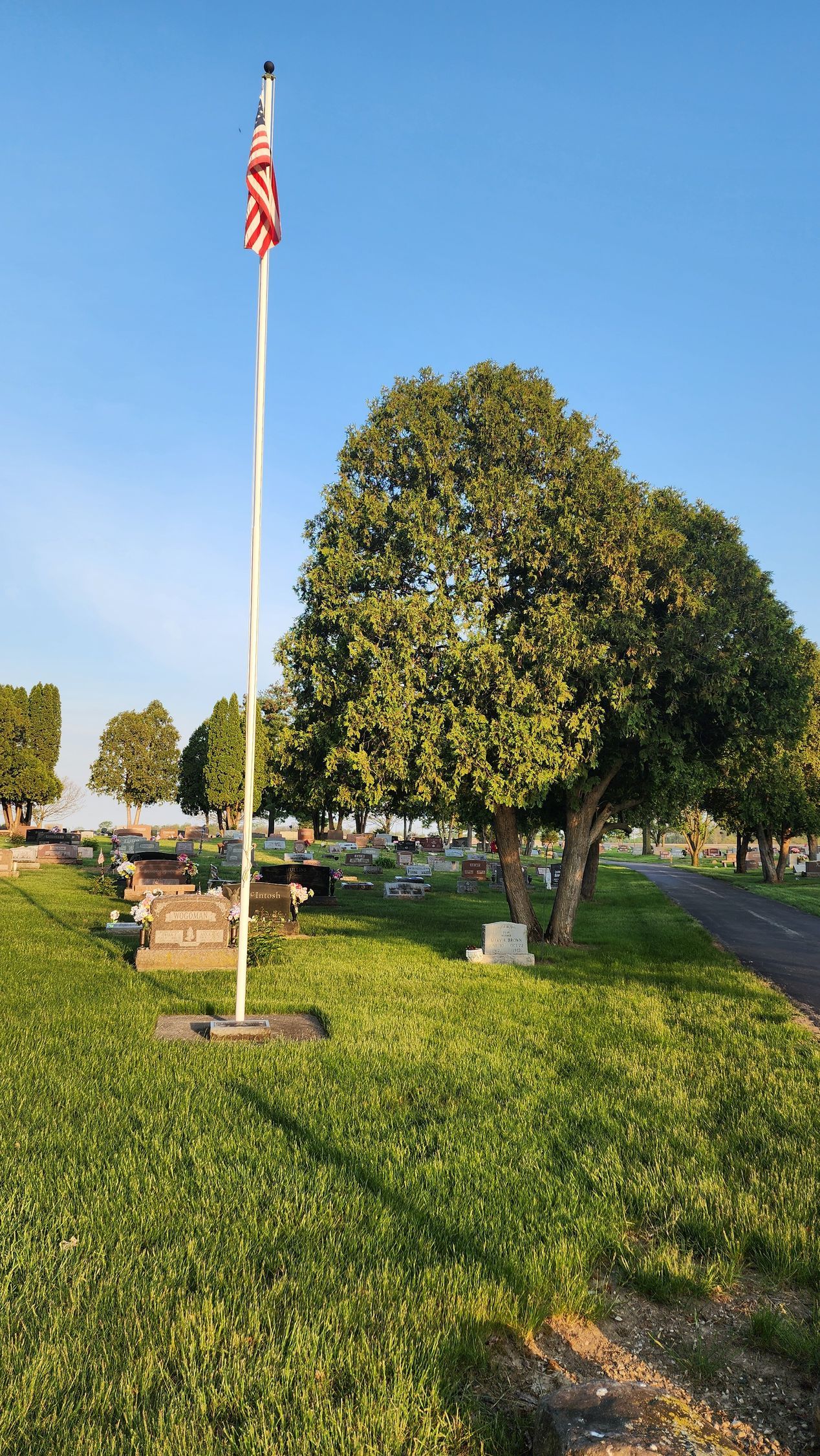 A flag pole in a cemetery with a tree in the background.