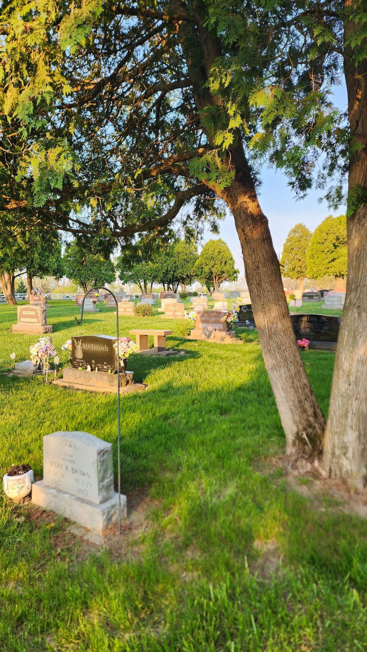 A grave in a cemetery with a tree in the foreground.