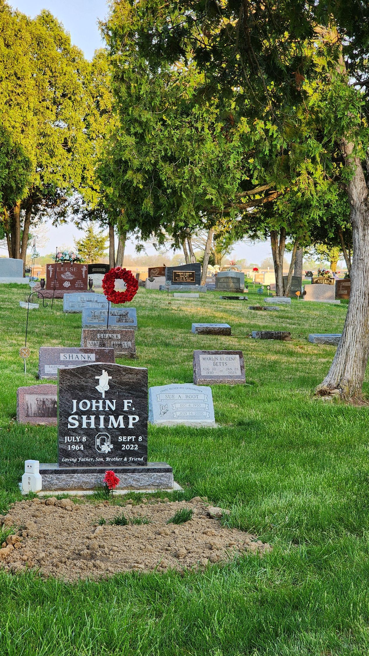 A cemetery with a lot of graves and trees in the background.