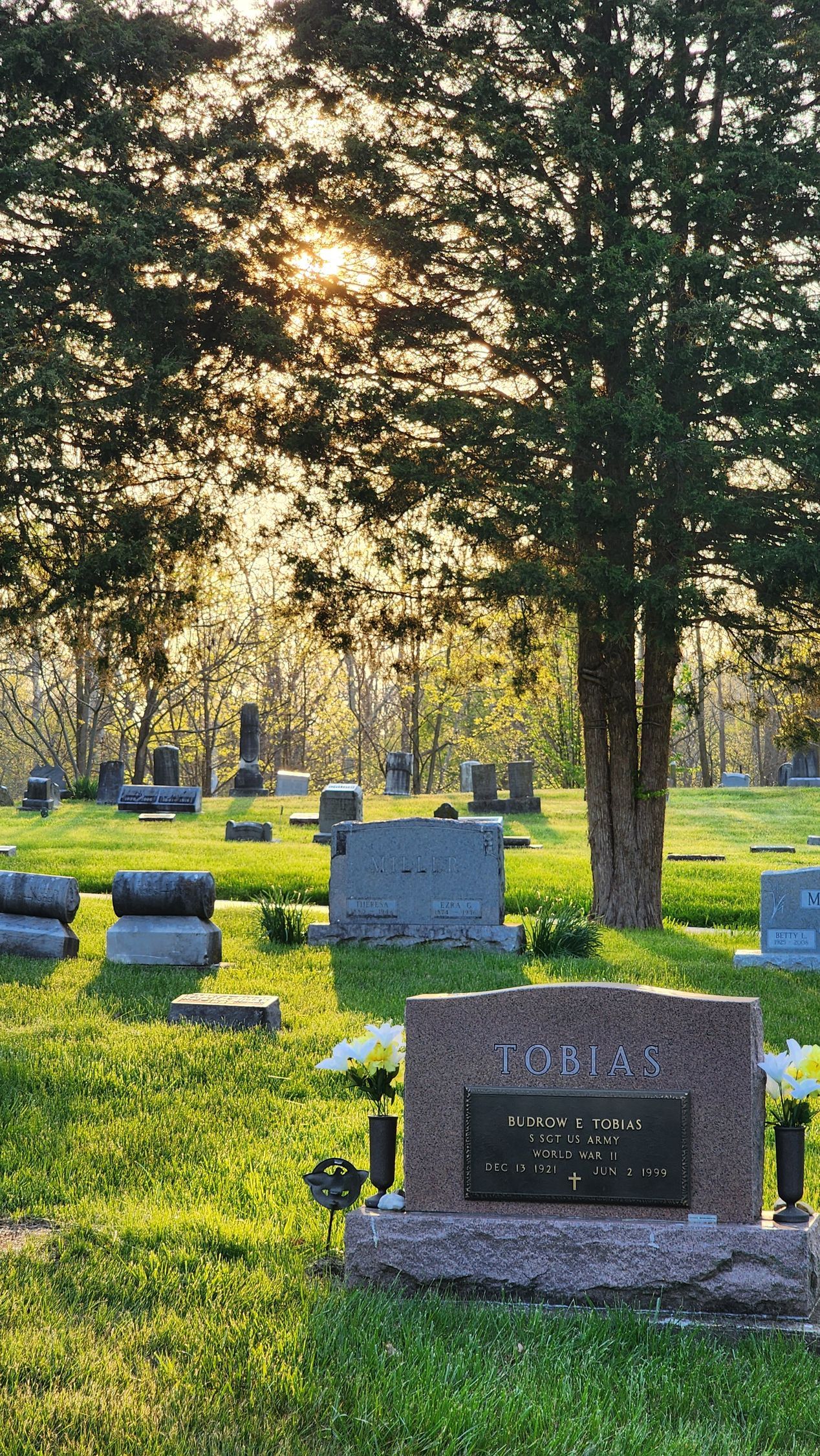 The sun is shining through the trees in a cemetery.