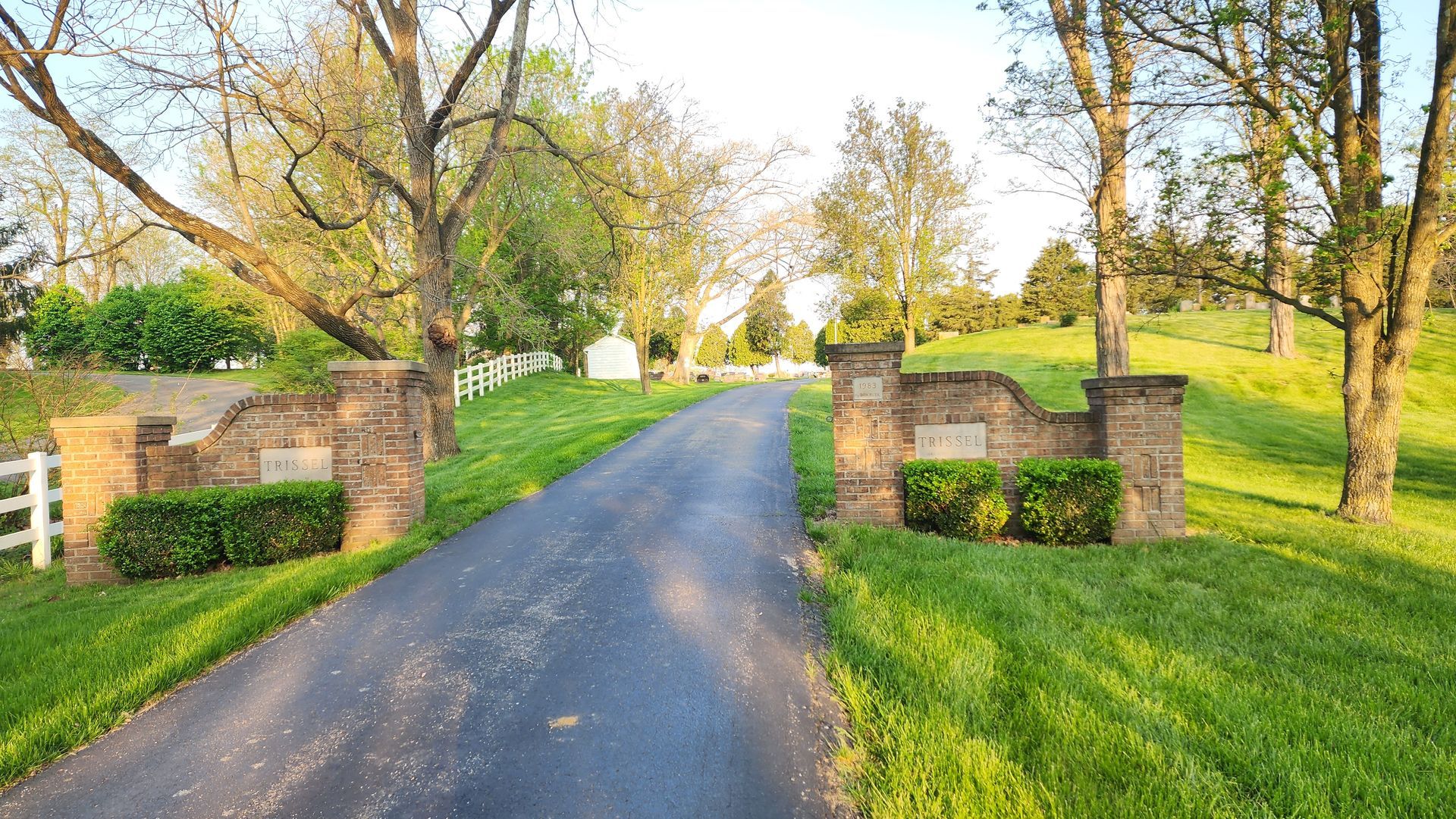 A road going through a lush green field with trees on both sides.