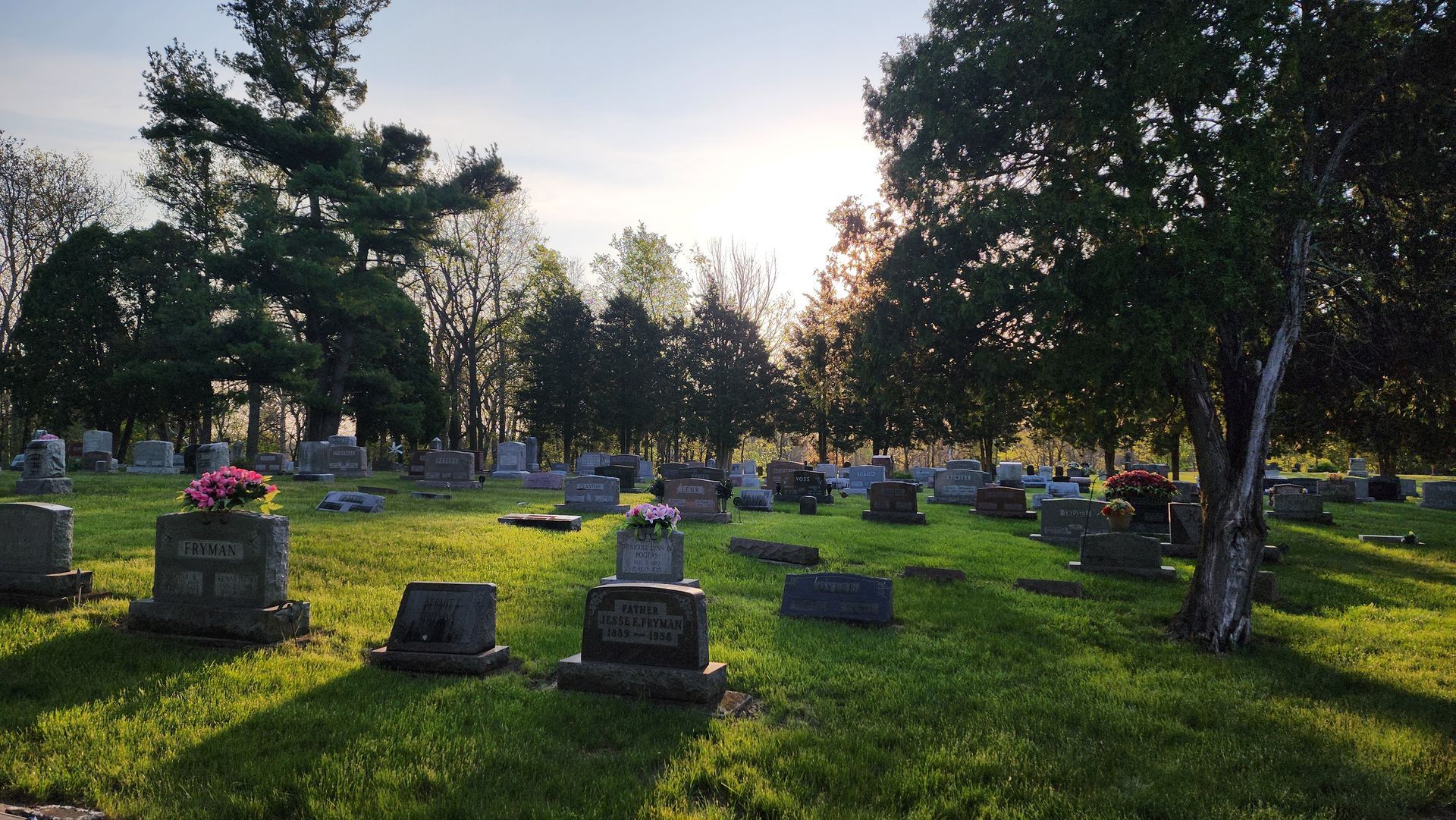 A cemetery with a lot of graves and trees