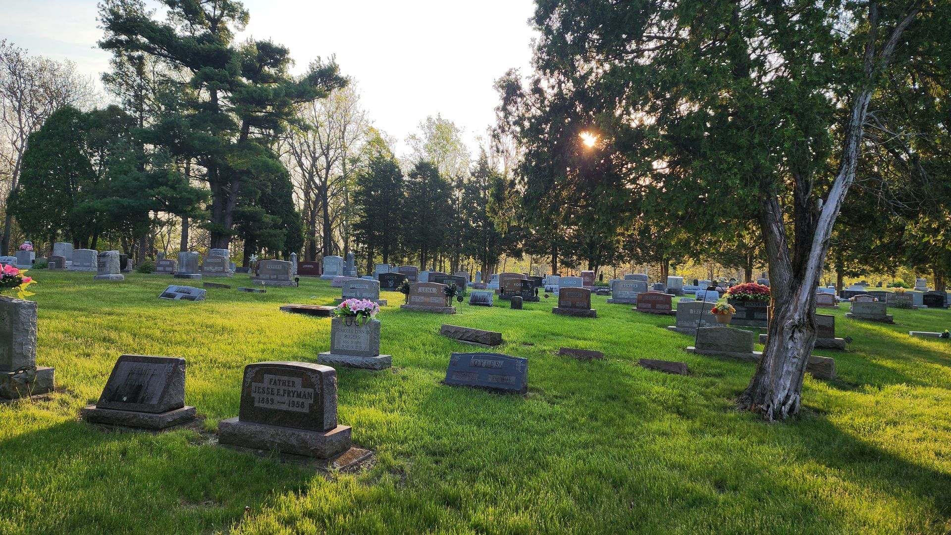 A cemetery filled with graves and trees with the sun shining through the trees.