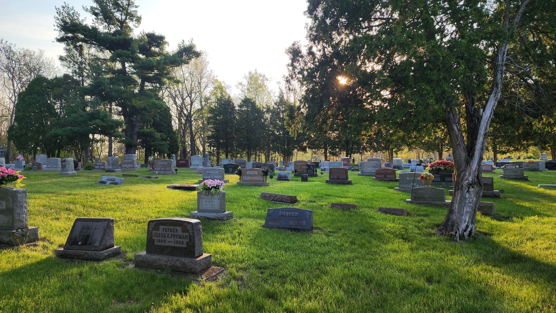 A cemetery with lots of graves and trees in the background