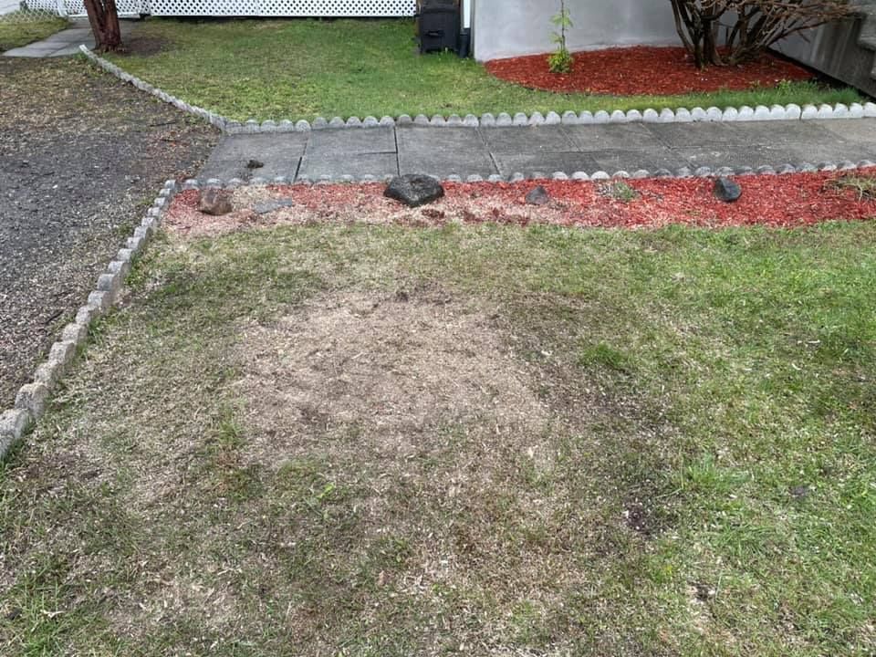 Une pelouse avec une allée en béton menant à une maison.