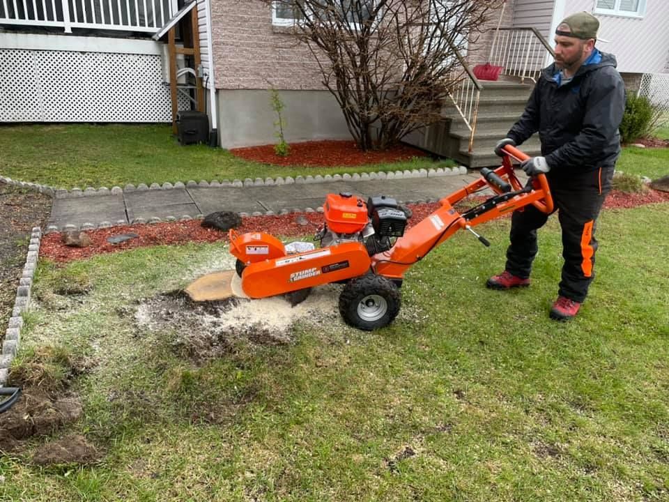 Un homme utilise une dessoucheuse pour enlever une souche d'arbre.