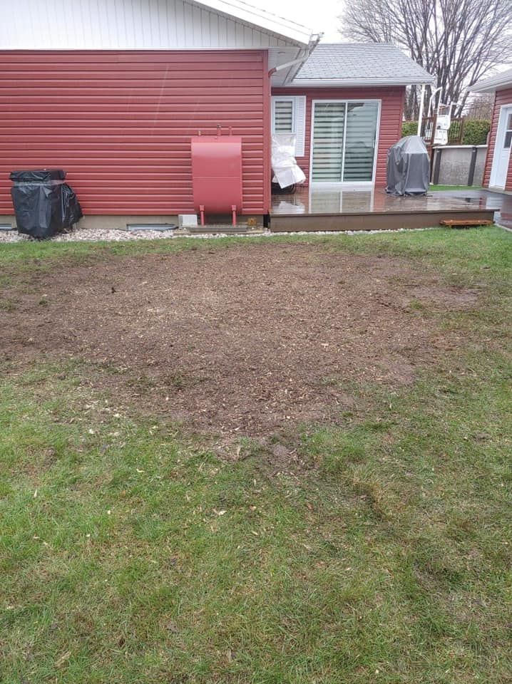 Une grande pelouse devant une maison rouge avec une porte coulissante en verre.