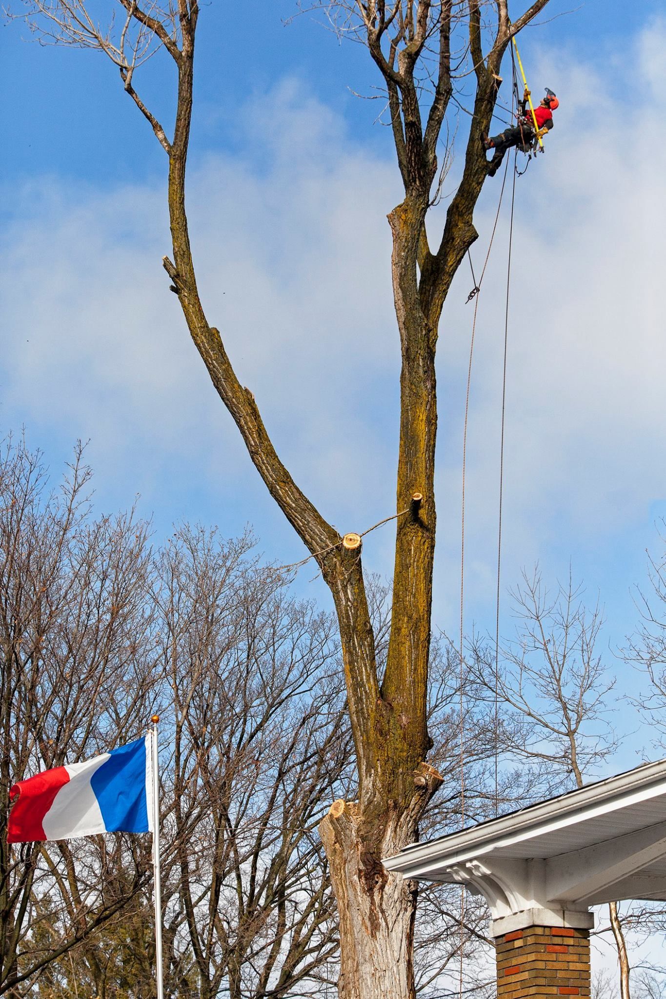Un homme abat un arbre devant une maison.