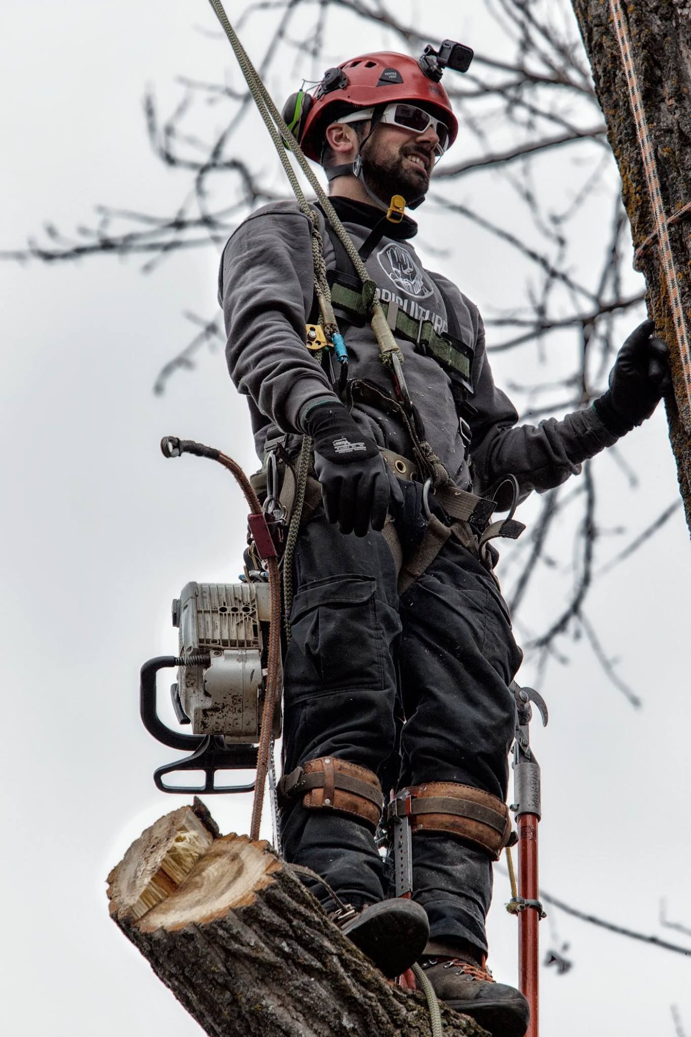 Un homme se tient au sommet d'un arbre avec une tronçonneuse attachée à son dos.