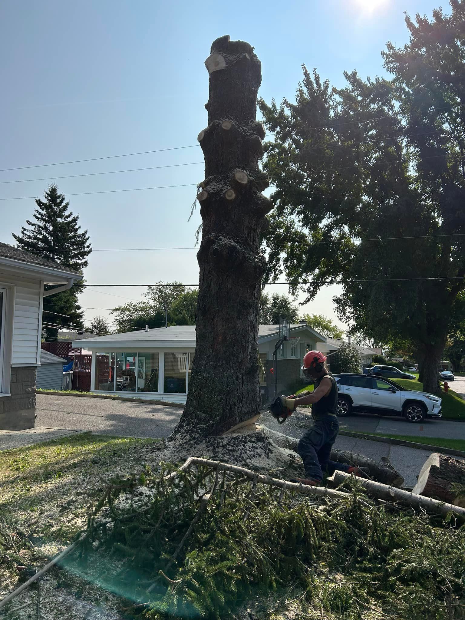 Un homme abat un arbre avec une tronçonneuse devant une maison.