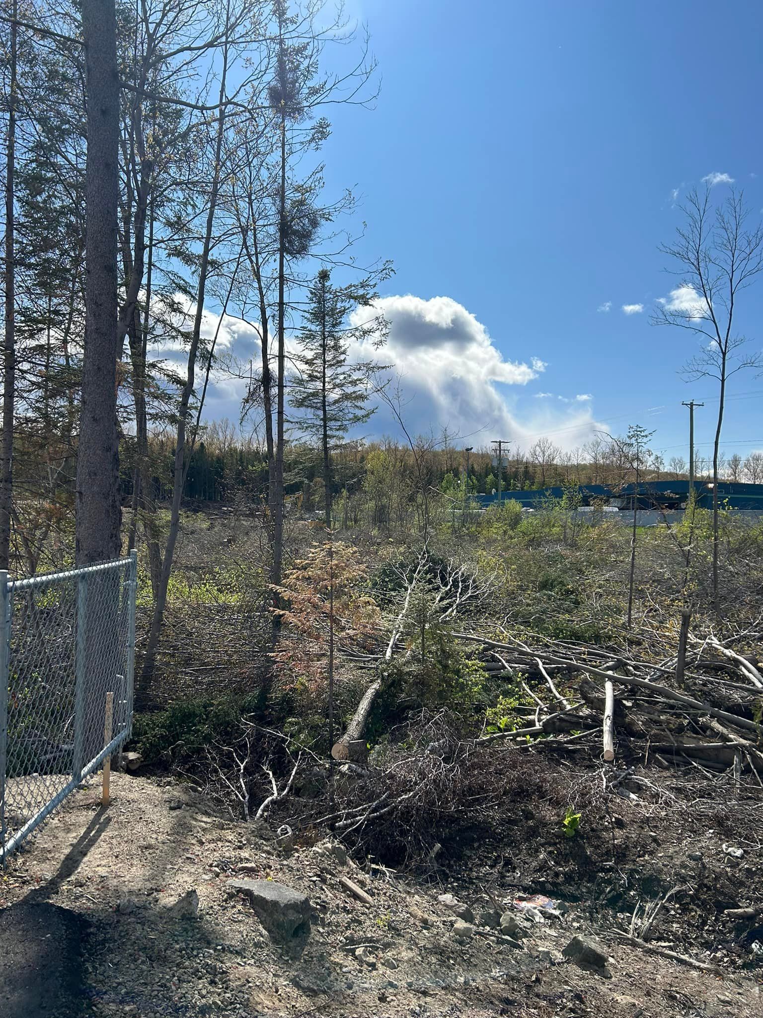 Une zone clôturée avec des arbres et un ciel bleu en arrière-plan.