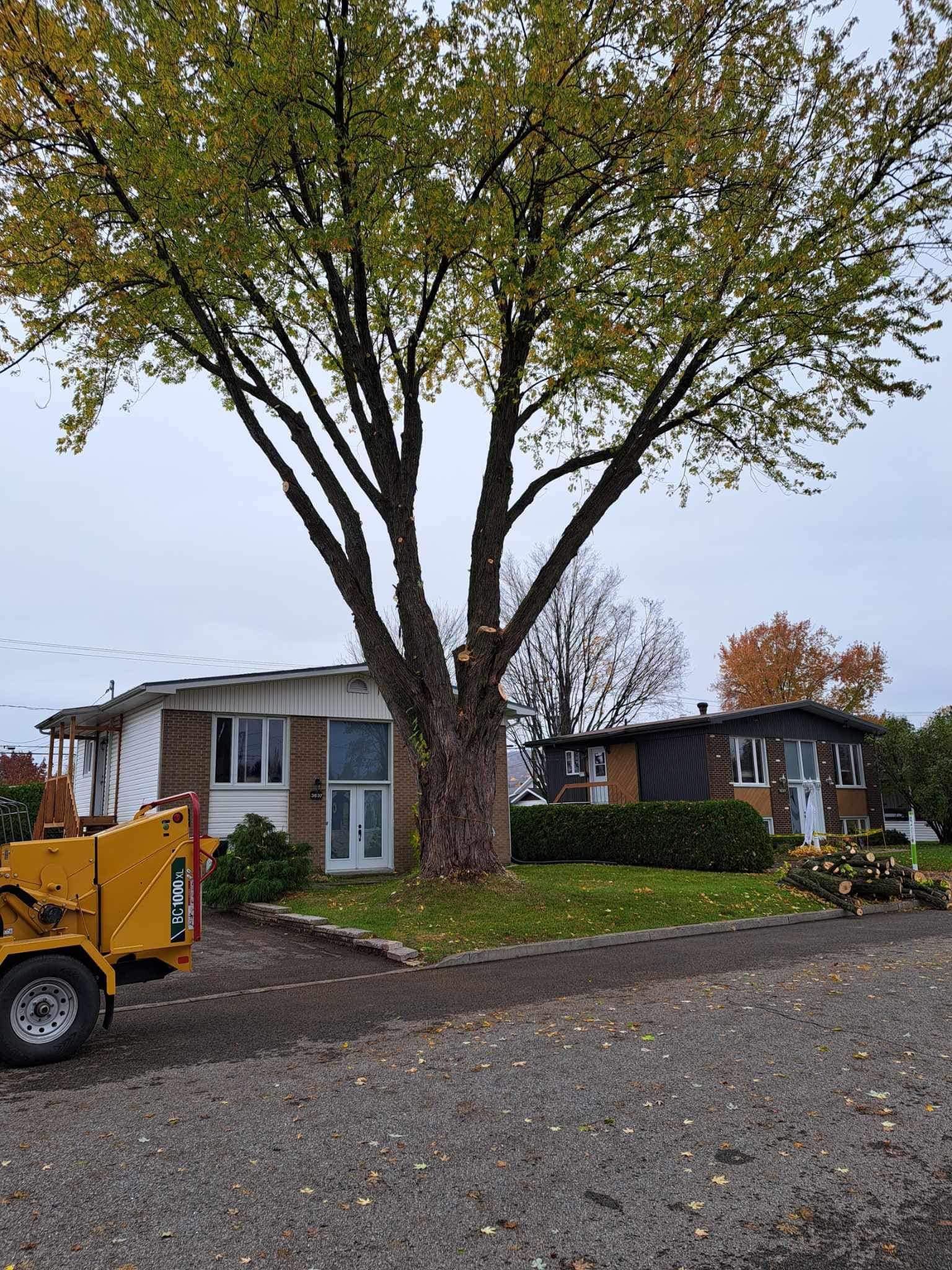 Une broyeuse de souches d'arbres est garée devant une maison.