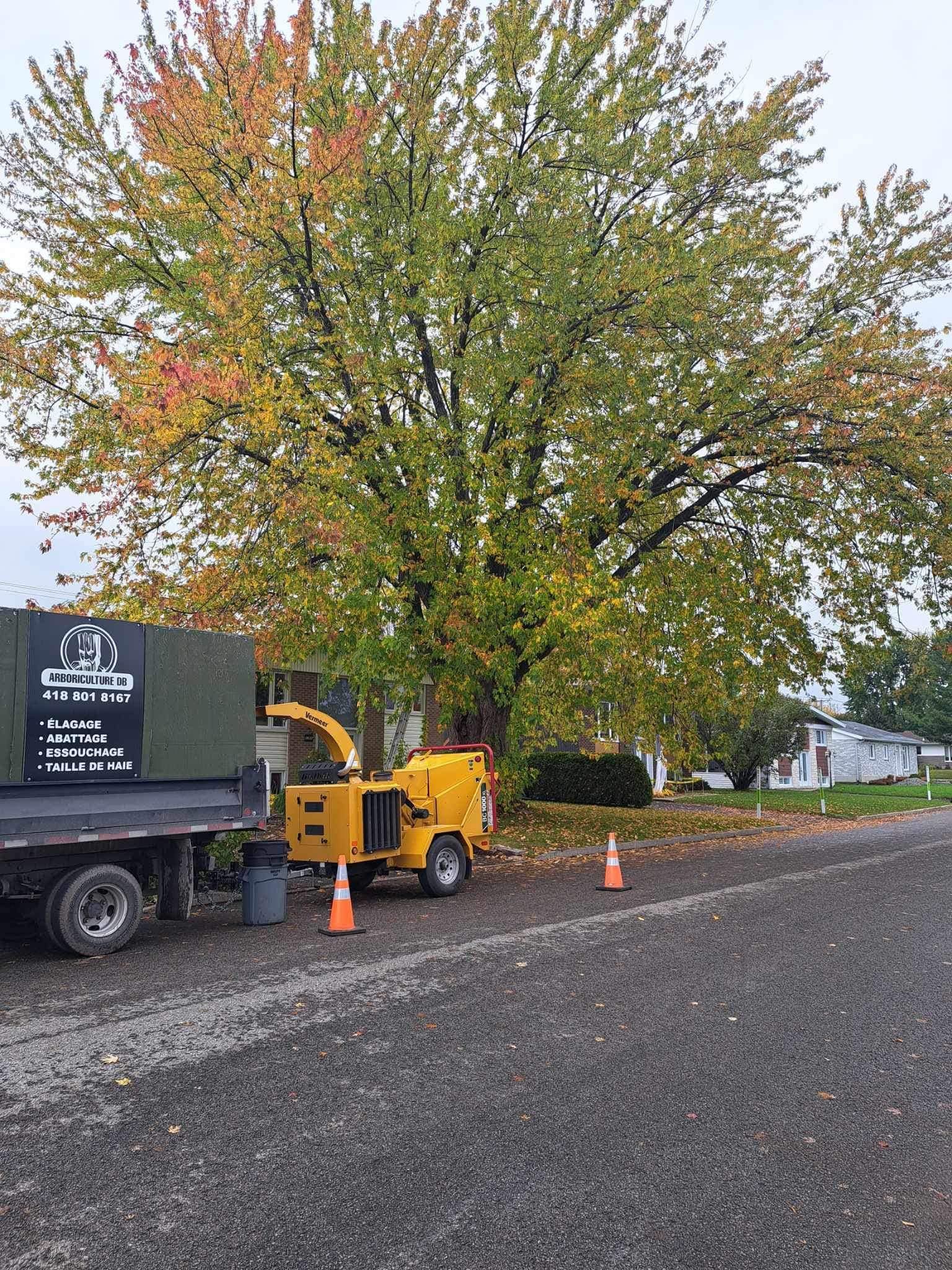 Un broyeur d'arbres est garé sur le bord de la route à côté d'un arbre.