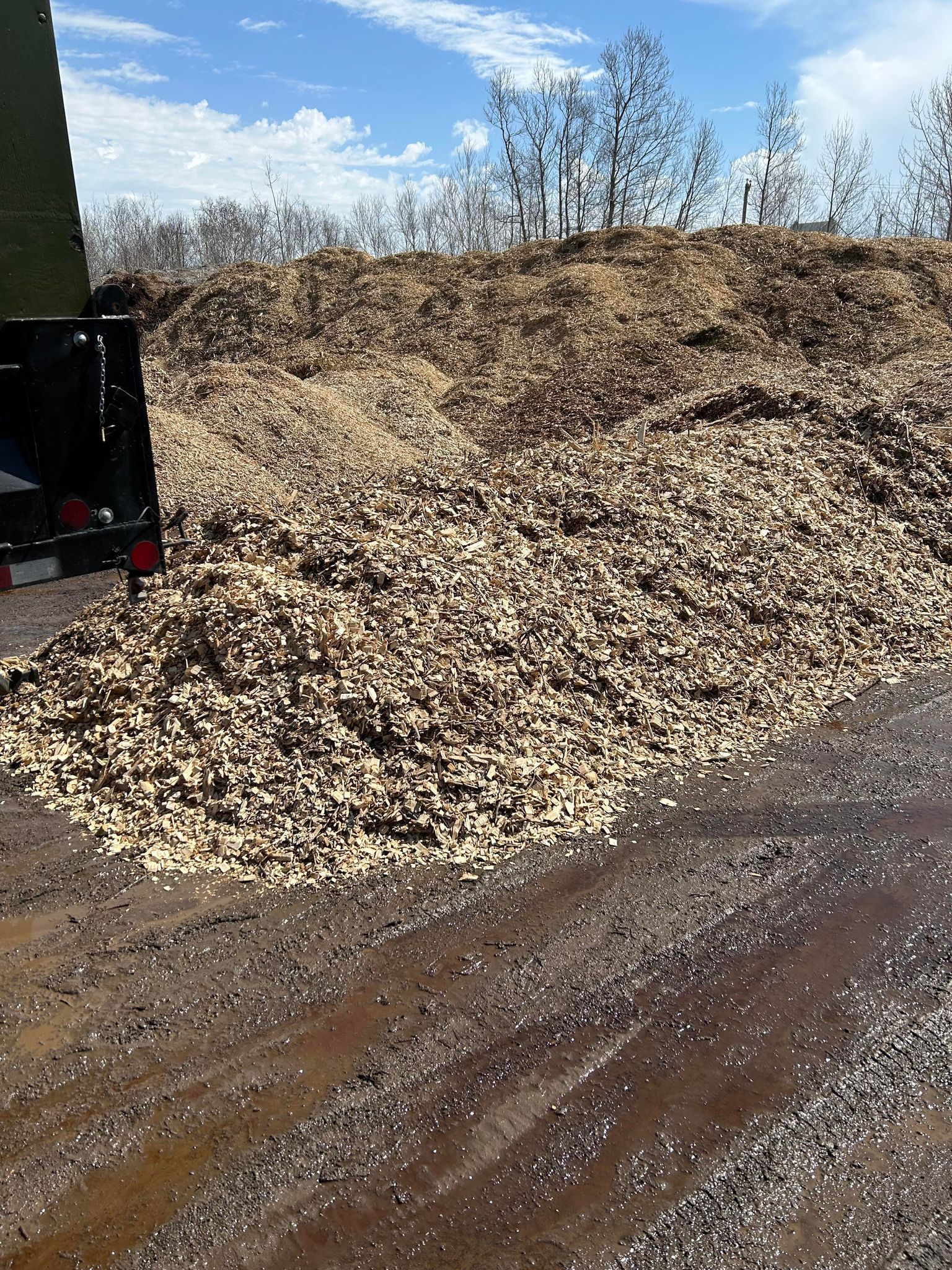 Un tas de copeaux de bois se trouve sur le bord d'un chemin de terre.