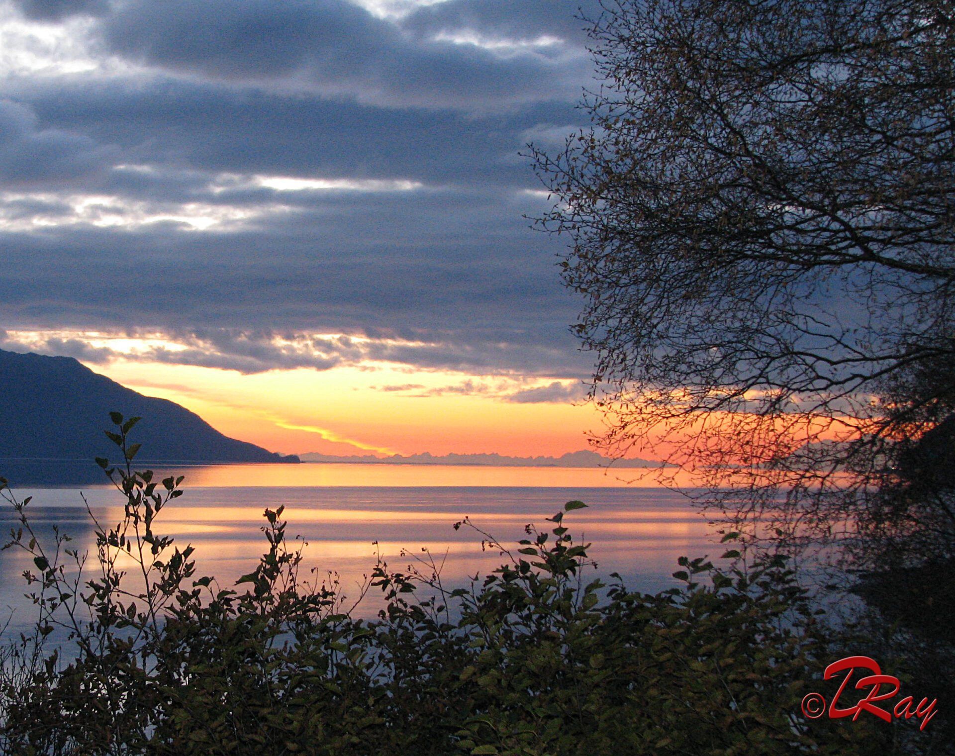 A serene sunset over a calm lake, with dark tree silhouettes in the foreground and mountains in the distance.