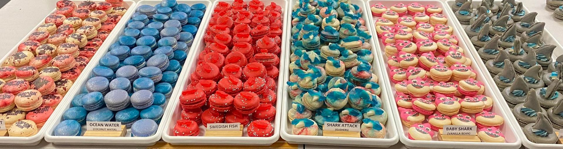 Rows of brightly colored, frosted miniature doughnuts in white trays. Colors include red, blue, pink, and teal.