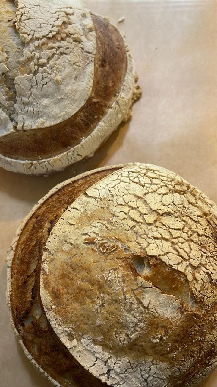 Two rustic loaves of bread, crusty with cracked tops and darker, scored centers, on parchment.