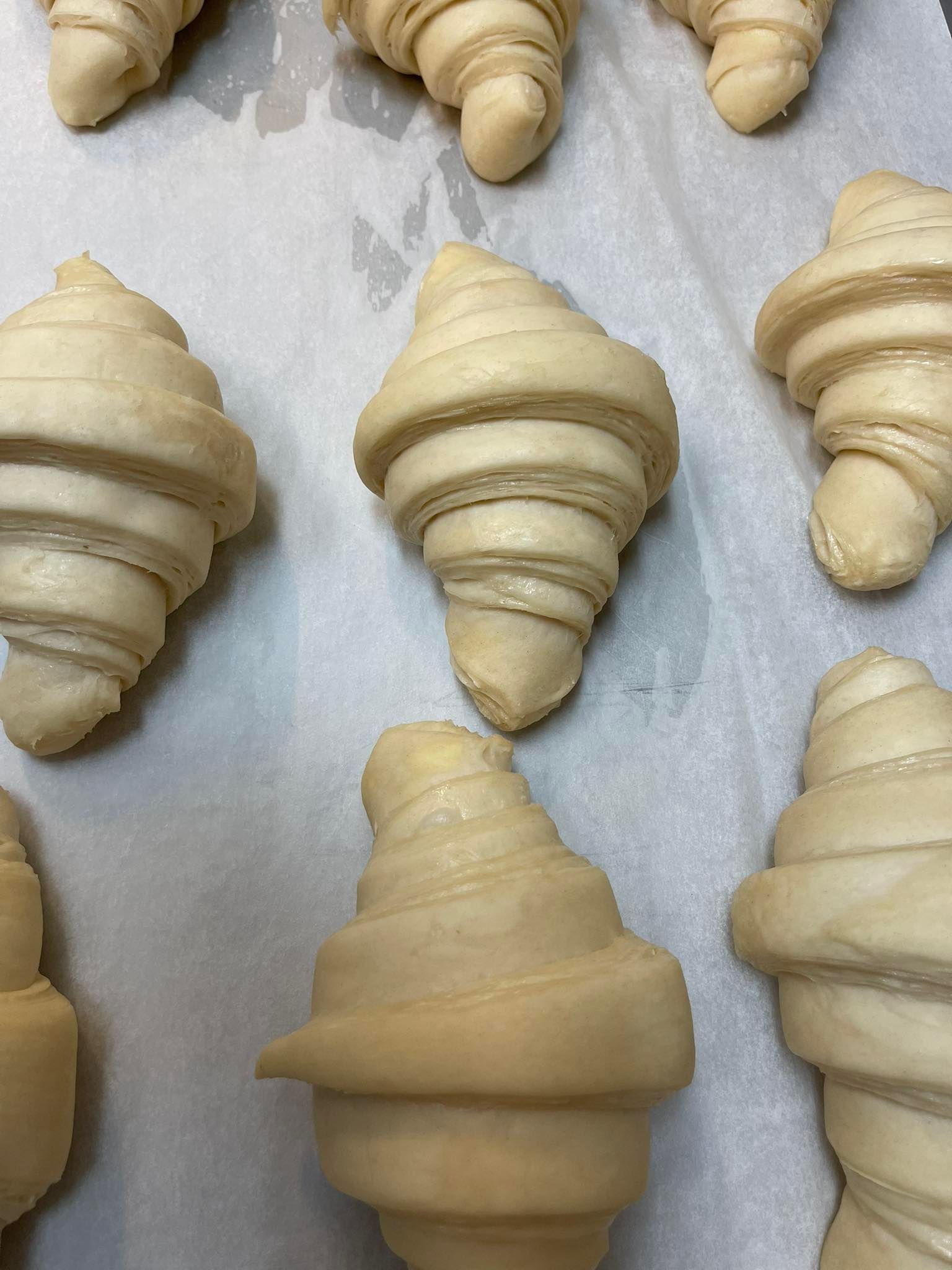 Unbaked croissant rolls arranged on parchment paper.
