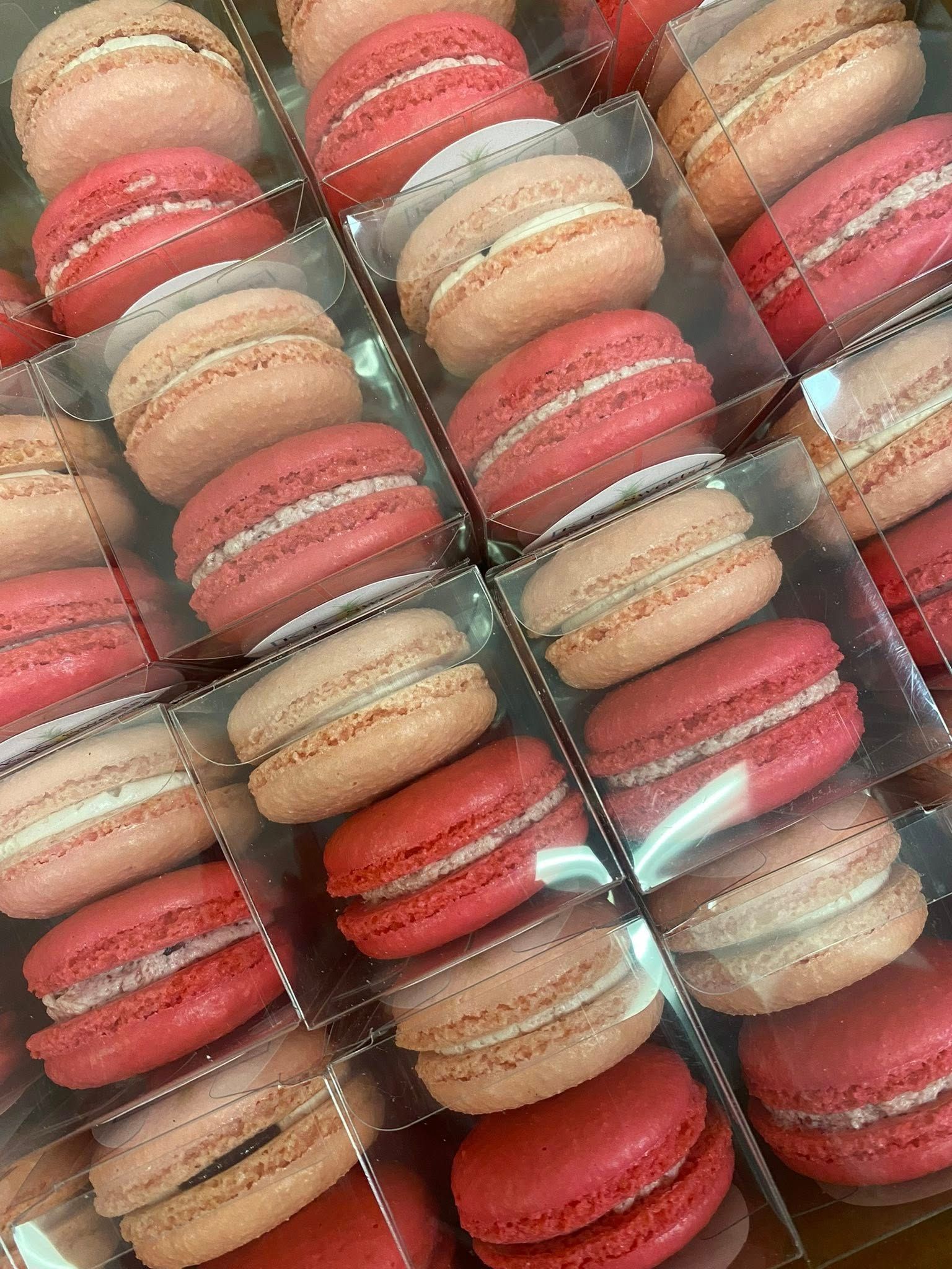 Rows of pink and red macarons in clear plastic containers.